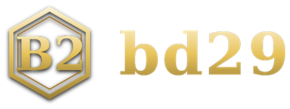bd29 logo